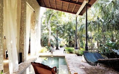 Mexico – Coqui Coqui, Valladolid