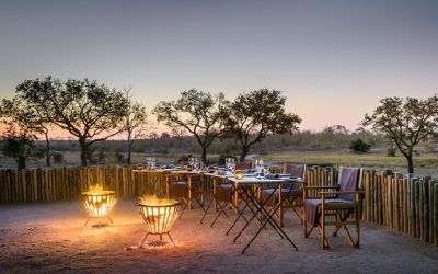 Singita – Your Game, Your Rules