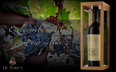 De Toren – Book XVII – The latest vintage of SA’s most elite red wine is here!