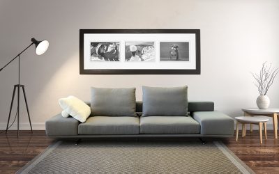 The Marina Sofa, exclusive to Mobelli Furniture + Living