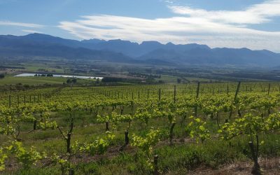 Boschendal – World Top Ten