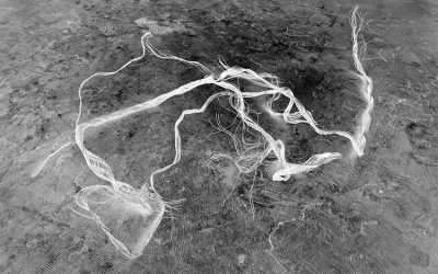 Michael Meyersfeld – The Abstract Collection