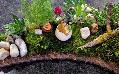 La Petite Colombe marks its one-year anniversary with Spring menu special