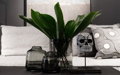 Weylandts opens in Port Elizabeth