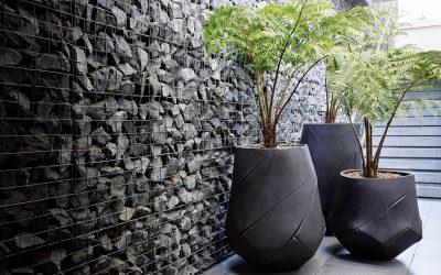 Indigenus – Life-Enriched Impact