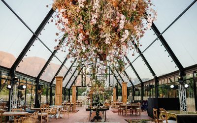 Blaauwklippen – Heritage Re-Imagined