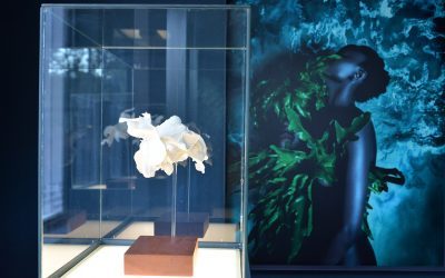 Deepest Darkest by Suzaan Heyns & Krisjan Rossouw