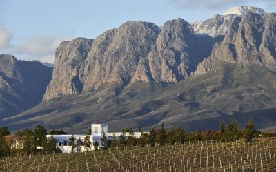Vergelegen launches site-specific Vineyard Range collection