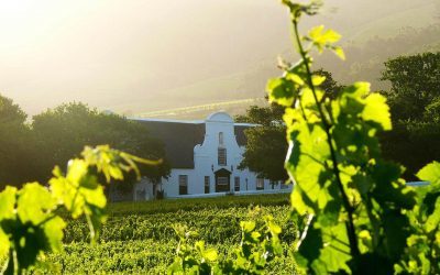 Groot Constantia Chardonnay Awarded Amongst Best In The World