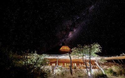 Michelin-star Chef Jan Hendrik van der Westhuizen comes home