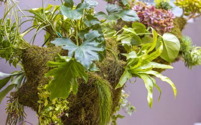 Waz Outdoor branches out with a spectacular new addition to their luxurious collections.