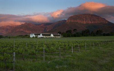 Avondale Estate Reveals The Value In Taking It Slow