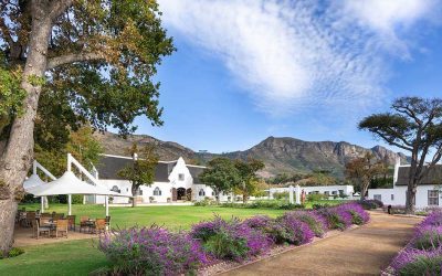 Idyllic Steenberg Hotel & Spa in full bloom after an extensive upgrade
