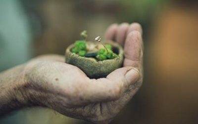 Artist Ronnie van der Walt Creates Bespoke Items for Babylonstoren