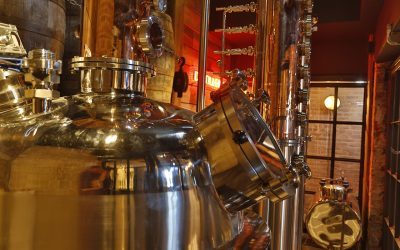 Poetic License – SA’s gin craze fuelled by new distillery