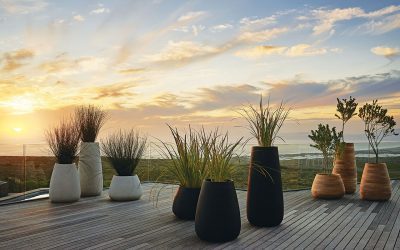 Indigenus – Versatile Connection