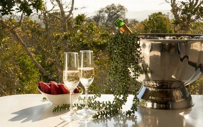 Treedom Villas and Vardos launches in the Wilderness