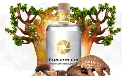 Introducing Pangolin Gin: a zesty gin for a very deserving cause