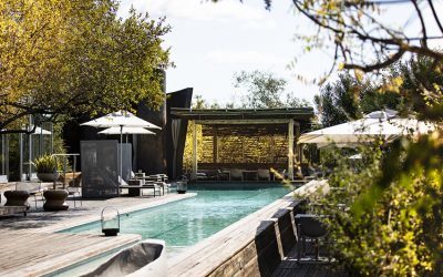 Award-winning design sets properties apart in competitive luxury safari market