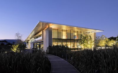 Wine meets art with Steenberg and Norval Foundation partnership