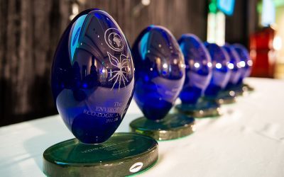2020 Eco-Logic Awards – Enviropaedia is calling on SA’s greenest